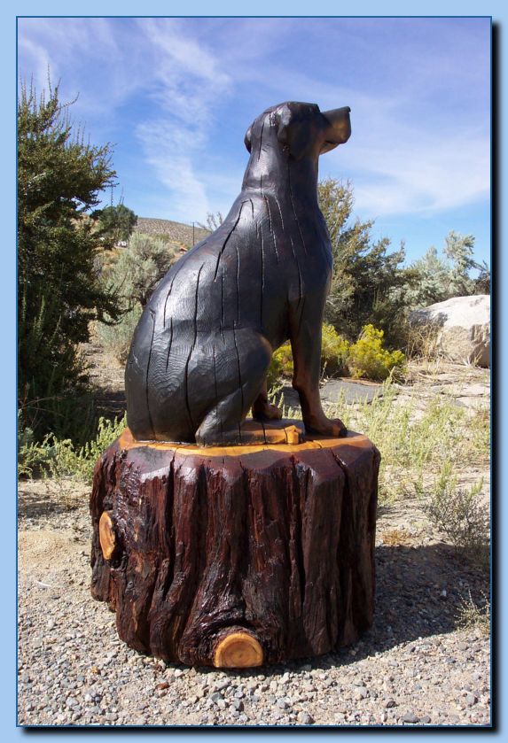 2-54 dog-rottweiler-archive-0003